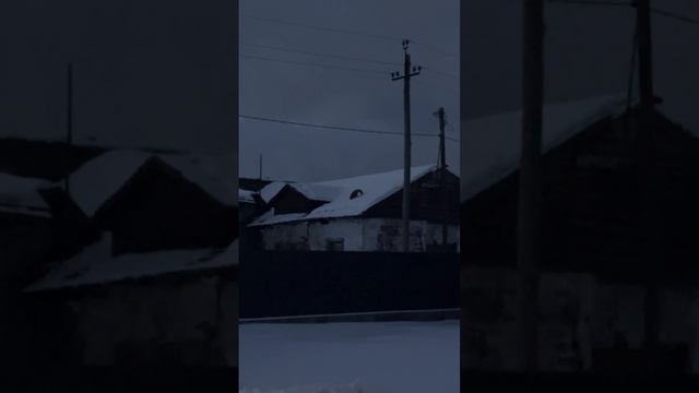 ЛИСА НА КРЫШЕ