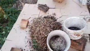 ?Секрет ЧУДО ГРЯДКИ ?без ухода и лишних хлопот дает огромный урожай?Огород для ленивых