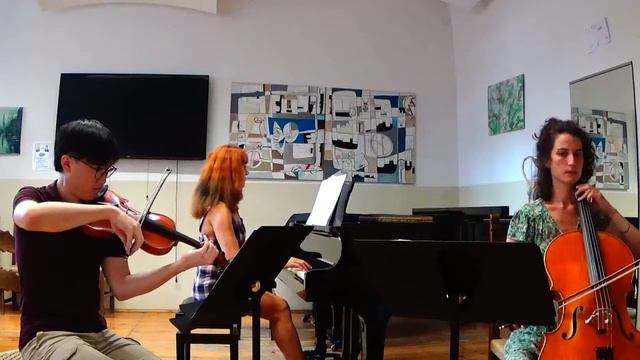 Dvorak- Trio op.21 - 2° mov Adagio molto e mesto - Nicolas Ka Hei Ng, Diana Onofrio, Barletti. смотреть онлайн