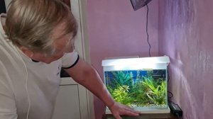 #04.1 Наглядно о вреде перекиси водорода. Аквариумистика с Геннадием Посейдонычем