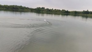 Корабль клиенту