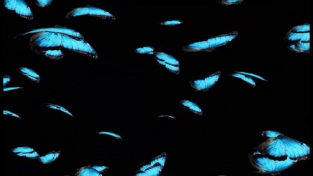 Христианские стихи. Есть люди, что несут в ладонях свет.