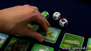 Следопыт. Обзор настольной игры от Игроведа.