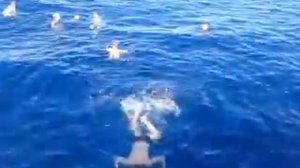 красное море. не умелый  пловец.