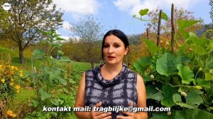 Kako Štedim Novac Uz Pomoć Bašte - Štednja Novca u Bašti