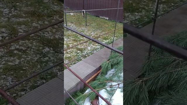 Виноград и вторая проволока. О вечном и сакральном. Всем добра! смотреть онлайн