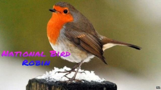 National Symbols Of UK