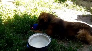 Фокусники! Волшебная шляпа?!