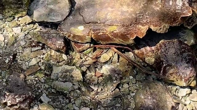 Прибавление в хозяйстве.Святой источник 12 ключей.Город Венёв.