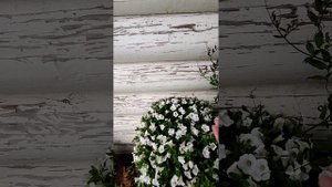 ПОНЕДЕЛЬНИК-НАЧАЛО НОВОЙ РАБОЧЕЙ НЕДЕЛИ.