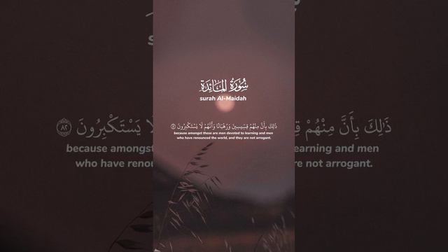 لتجدن أشد الناس عداوة للذين آمنوا اليهود والذين أشركوا 📖وتلاوة متأثرة للشيخ سعود الشريم 😵تابع وسجل👍