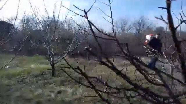 Опрыскивание сада мотоопрыскивателем
