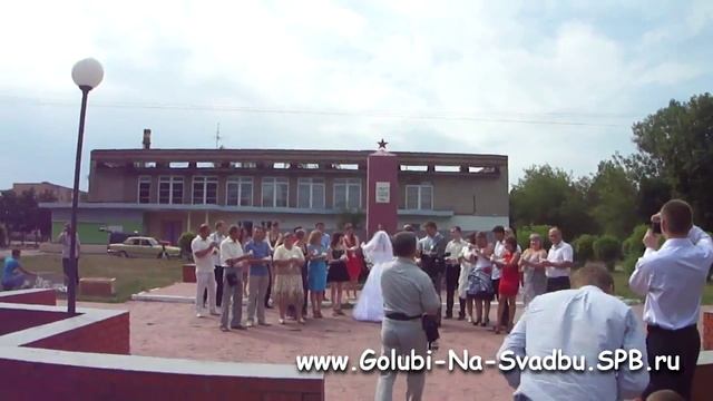 www.Golubi-Na-Svadbu.SPB.ru - голуби на свадьбу - выпуск 100 голубей. смотреть онлайн