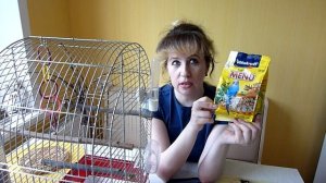 Покупки из зоомагазина//Корм для попугая//Игрушки для волнистого попугая