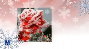 🌹 ЗИМНИЕ РОЗЫ 🌹  ЮЛЯ ШАТУНОВА   🌹