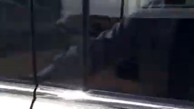 2014 Infiniti QX80 walk around at Alderson Mercedes-Benz Midland смотреть онлайн