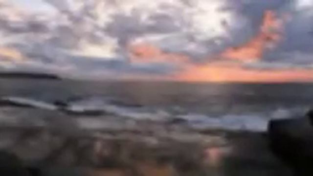 Kamelia song lyrics смотреть онлайн