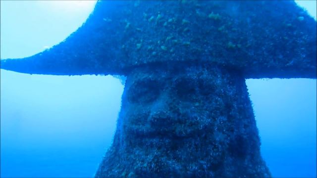 Unterwasser Themenpark Santa Cruz de La Palma смотреть онлайн