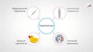 Живая и неживая природа. Явления природы. Что такое погода