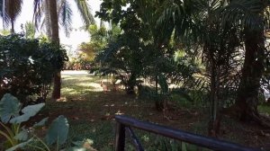 Прилетели на Занзибар второй раз  в марте 2021. Первый раз в Танзании были в декабре 2020