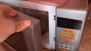 что будет если засунуть вилку в микроволновку