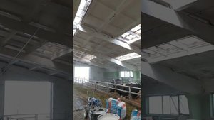 Побелка животноводческих ферм