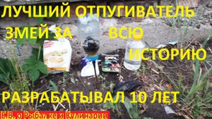 КАК ИЗБАВИТЬСЯ ОТ ГАДЮК И ДРУГИХ ЗМЕЙ НА ДАЧЕ, РАЗРАБОТАЛ ЛУЧШИЙ ОТПУГИВАТЕЛЬ ОТ ЗМЕЙ ЗА ВСЮ ИСТОРИЮ