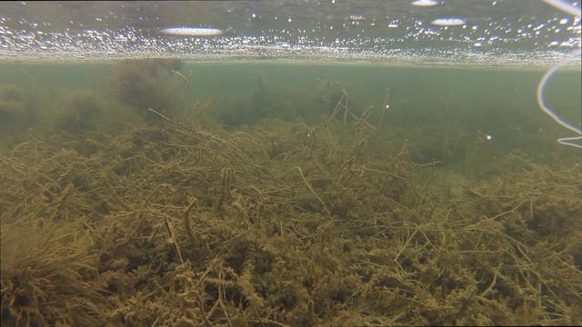 лиман Рясной, Пригибский на льду смотреть онлайн