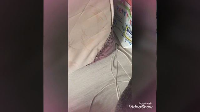 Морская свинка смотреть онлайн