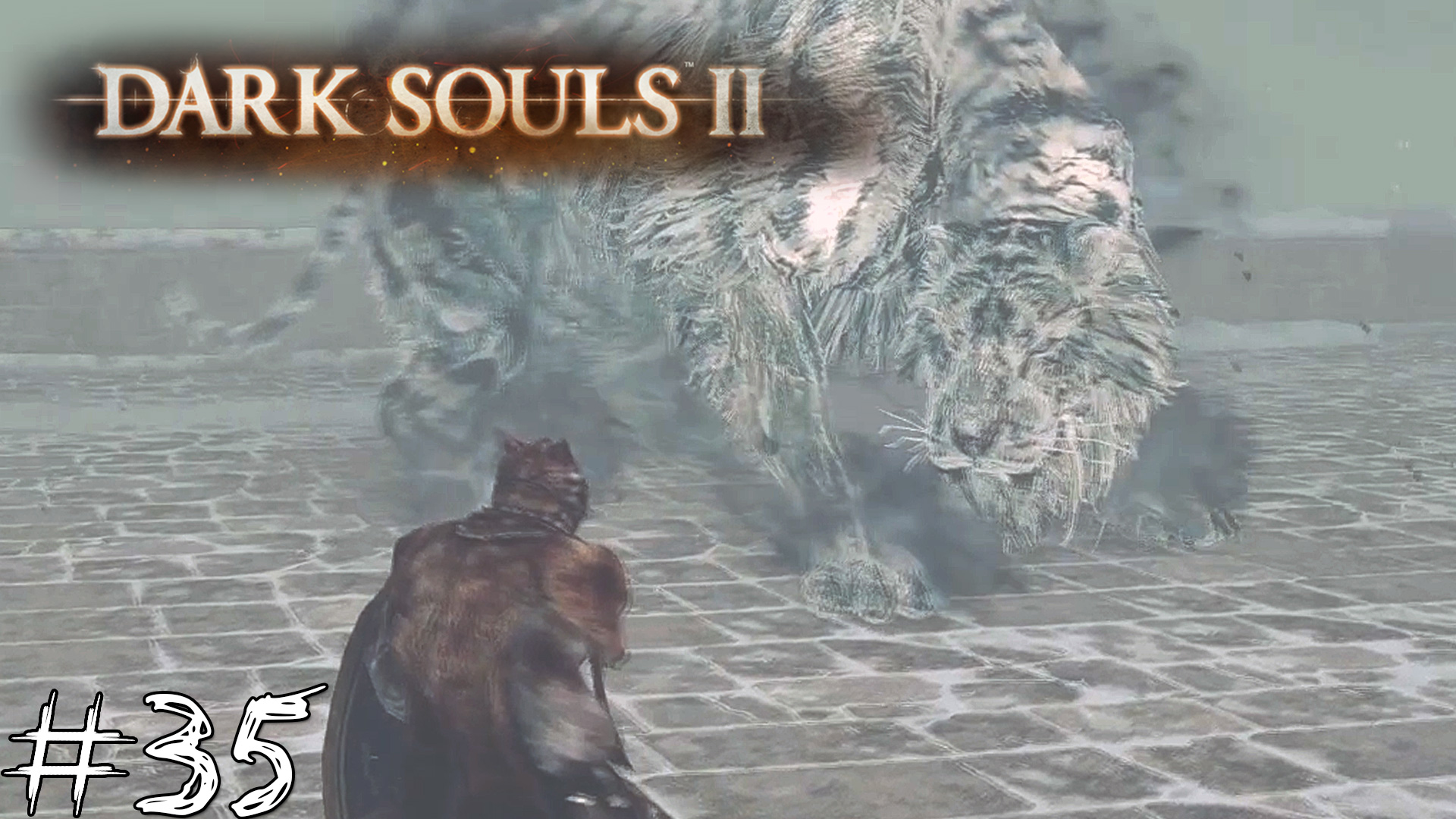 Dark Souls 2 #35 |Прохождение| Аава, питомец короля