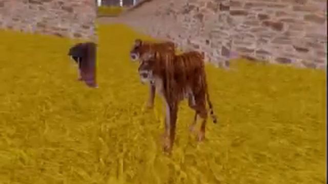 all animals from MARINE PARK EMPIRE смотреть онлайн