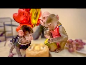 Люська и Степашка пробуют ПРАЗДНИЧНЫЙ ТОРТ и лопают шарики!