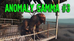 ЛОВУШКА ДЛЯ СТАЛКЕРА ► S.T.A.L.K.E.R. ANOMALY GAMMA (3)