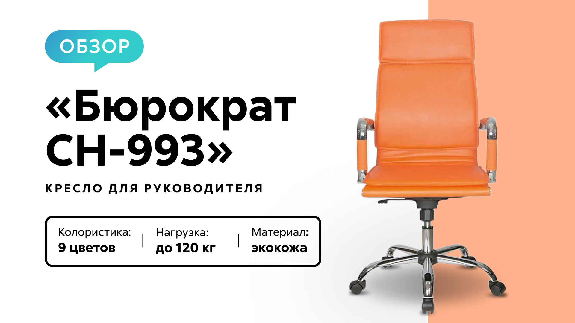 Бюрократ 993