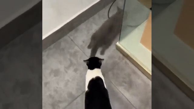 Приколюшки ?