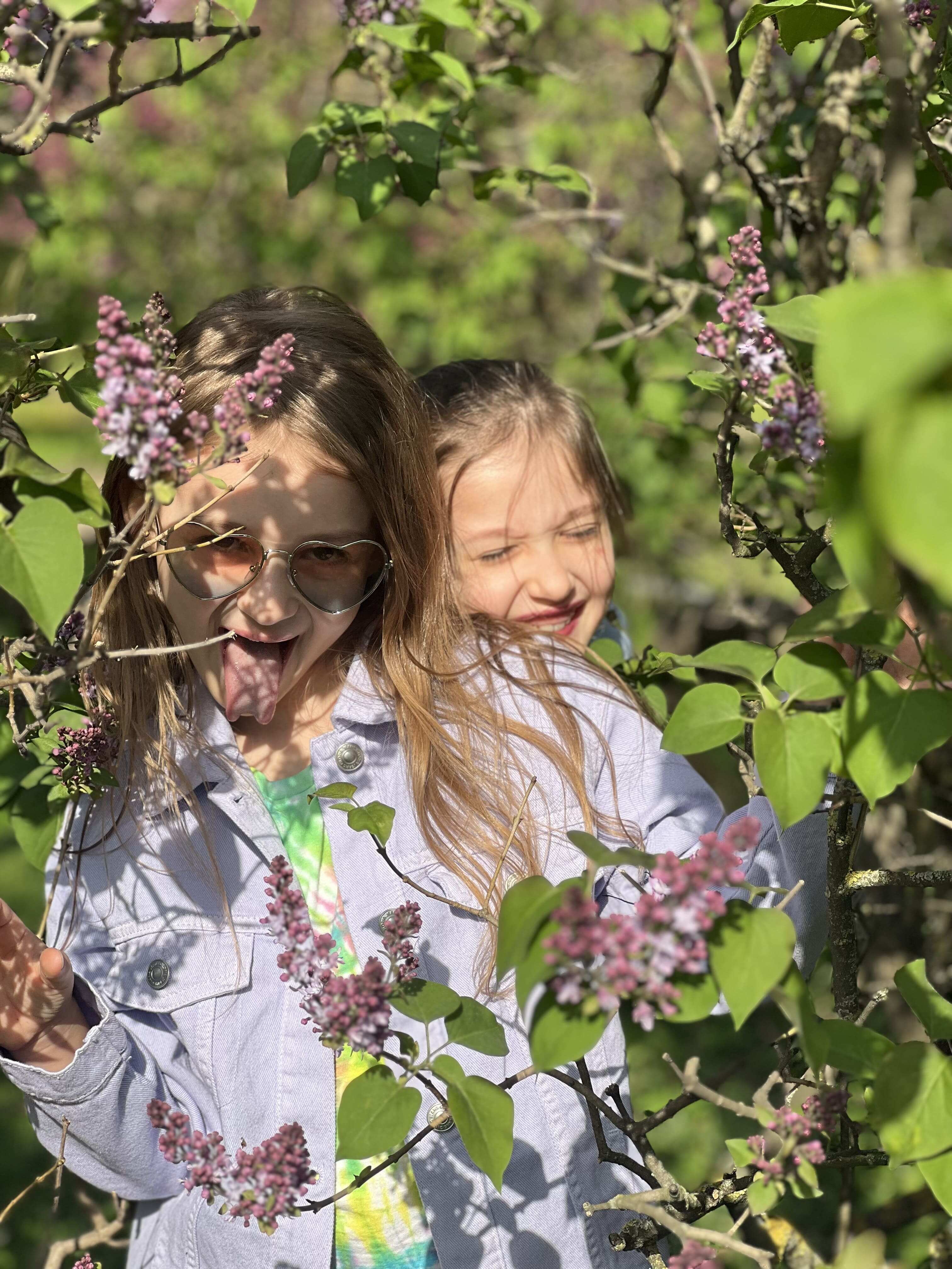 Лето уже очень близко! ☀️? #lilac #walk #amalia8uliana #au #ау #amalia8uliana #сирень #сиреневыйсад