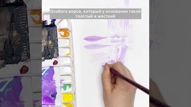 Каллиграфическая кисть Барсук Премиум смотреть онлайн