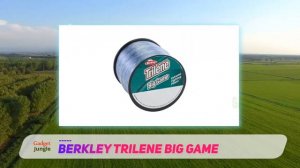 Berkley Trilene Big Game Review - The Best Fishing Lines in 2022