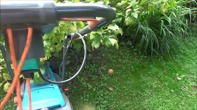 Одна на даче. Жду гостей. Гортензии меняют цвет. Кошу, стригу... смотреть онлайн