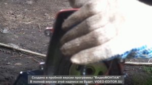 ремонт бензокосы Лесник 305