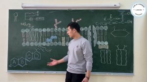 Биологические мембраны. Биохимия