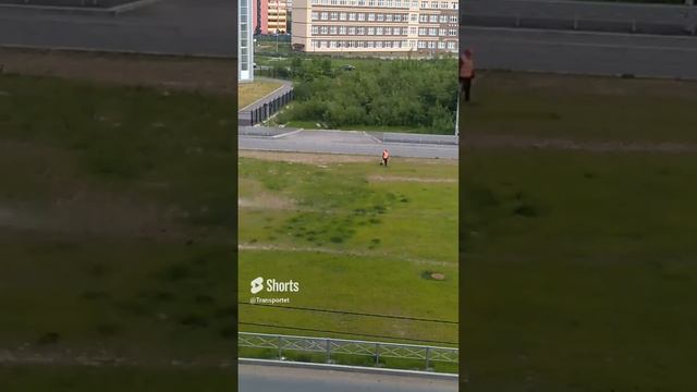 Рабочие вспахивают землю и посыпают семена,чтобы росла трава #shorts