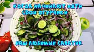 Простой салатик из огурцов, любимые семейные рецепты из копилки ?