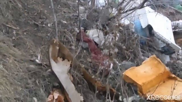 СВИНОРЫЛЫМ - посвящается. HOMO SVINTUS!!! Экология. смотреть онлайн