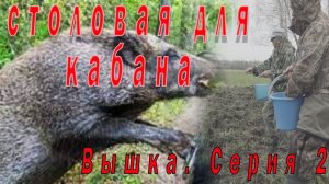 Столовая для кабана. Проект Привада на кабана. Серия №2