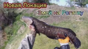 Новая Локация - Охота с Рогаткой
