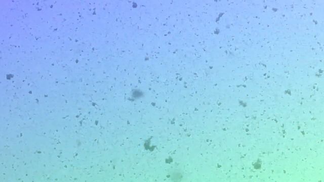 Падающий снег. Русская зима. Песня Карена Карагяна. смотреть онлайн