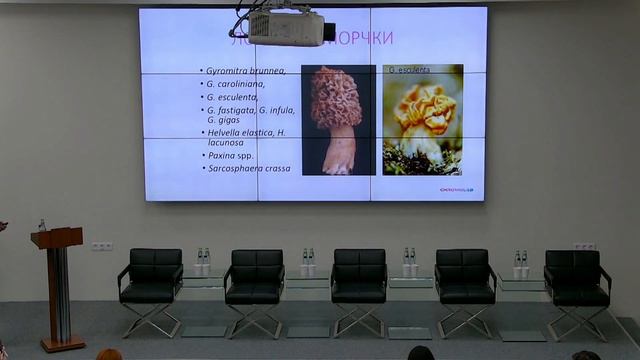 «Токсикология: страхи и реальность», спикер Мамедов Ильгар Салехович смотреть онлайн