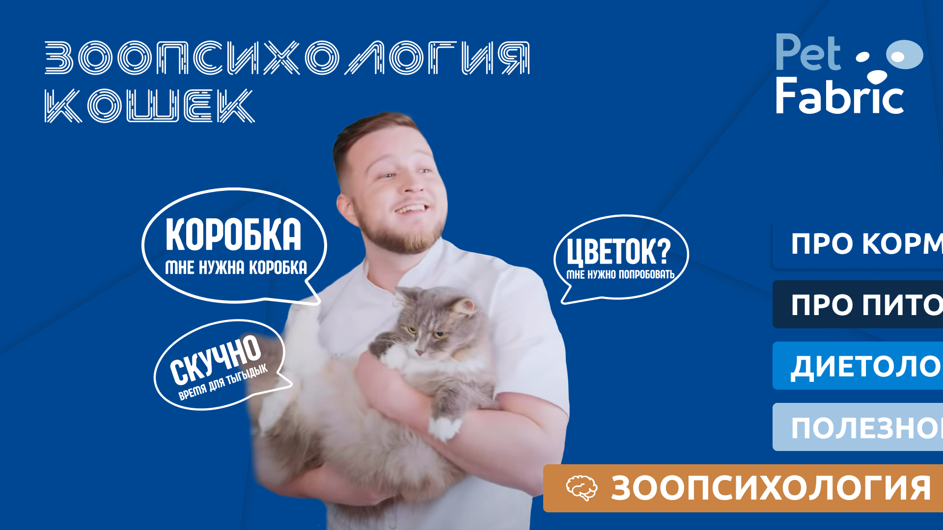 Зоопсихология кошек.