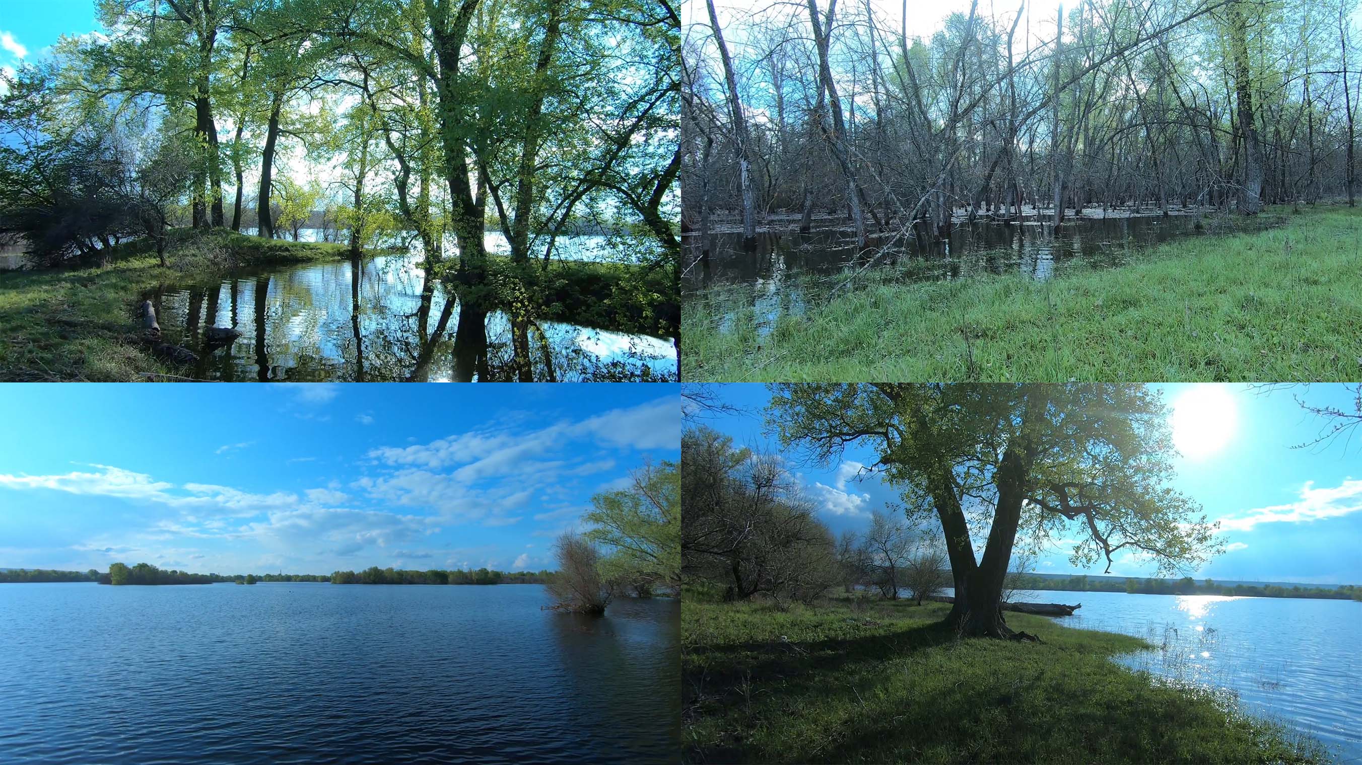 Разлив Волги. Весенний разлив реки Шерна. Река Истра разлилась весной.